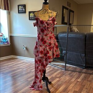 Fashion Nova size XL pink and red floral high low dress